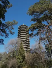 勇敢尝试，胜于原地踏步1