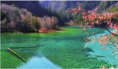 秋醉九寨沟1