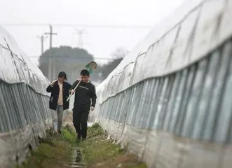“90后”农大硕士情侣：助力乡村，圆生态农场梦