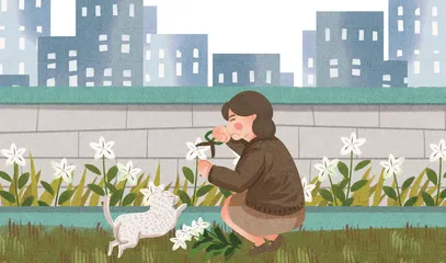 韭兰1