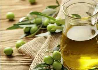 科学食用油盐糖酒茶之科学用油3