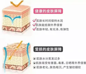 养护好肌肤，重在科学洗脸