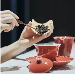 科学食用油盐糖酒茶之科学饮茶5
