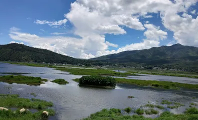 雁池观雁