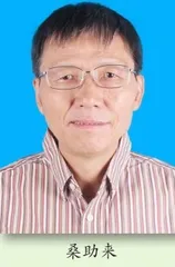 申论分析理解题解题思路与技巧