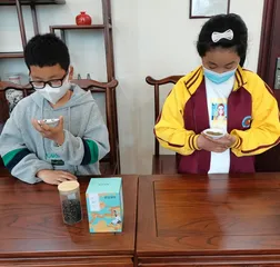 文化自信从娃娃抓起2