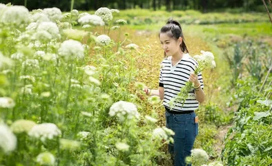 农场主艺术家朱未末