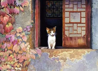 旧院老楼