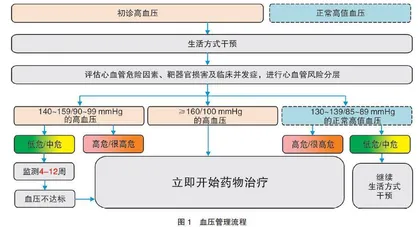 防控高血压 重点在社区