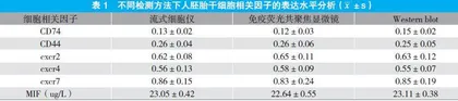 巨噬细胞迁移抑制因子调控人胚胎干细胞增殖的相关性分析