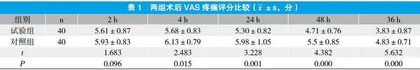 针刺内麻点对后外侧入路全髋关节置换术后早期疼痛及功能康复的影响