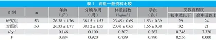基于健康行动过程取向理论的护理干预应用于初产妇的效果观察