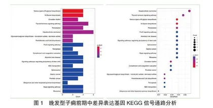 早发型子痫前期及晚发型子痫前期关键基因鉴定及功能聚类