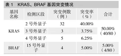 Kras、Braf基因突变联合检测在结直肠癌中的意义与价值研究
