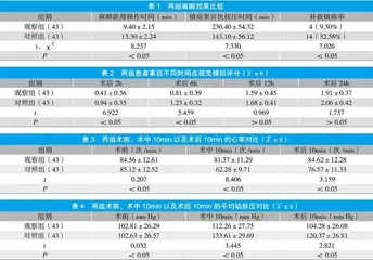 髋关节囊周围神经阻滞在全髋关节置换术中的应用效果