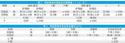中医康复护理对早期中风偏瘫患者功能康复和抑郁症状的影响观察