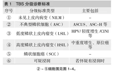 TCT和HPV-DNA检测联合阴道镜对宫颈癌筛查的应用价值