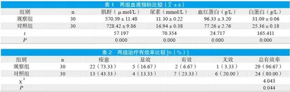 血液透析治疗老年慢性肾衰尿毒症的效果及安全性研究