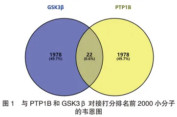 基于分子对接技术双靶向PTP1B和GSK3β潜在活性小分子的发现