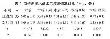 疼痛改善性护理对髋关节置换术后患者日常生活活动的影响分析2