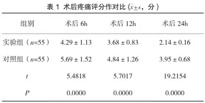 人文关怀护理对混合痔手术患者术后疼痛及排尿功能的影响分析