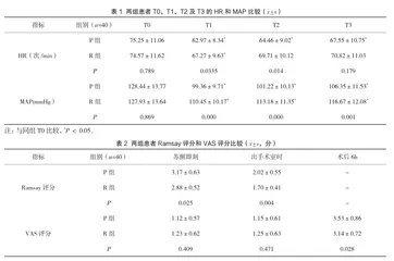 瑞马唑仑联合右美托咪定在神经阻滞下膝关节镜手术中的应用