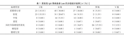 原发性IgA肾病患者临床特点与病理诊断分析