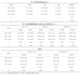 盆底筋膜松解手法结合横纹肌、平滑肌电刺激治疗产后腹直肌分离的效果研究