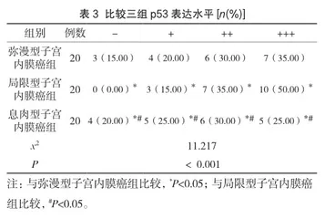 ER、PR和p53在子宫内膜癌患者病理分型中的变化规律分析3