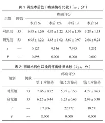 针对性护理干预缓解肛周脓肿术后及换药时疼痛的效果观察