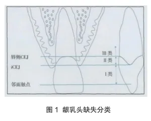 探析釉牙骨质界形态及口腔临床意义2