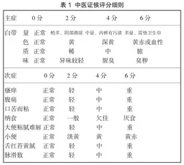 止带汤联合保妇康栓加定君生治疗湿热下注型高危型HPV感染患者的疗效观察
