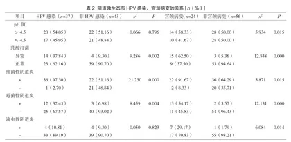 阴道微生态与人乳头瘤病毒感染和宫颈病变的相关性研究2