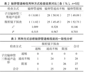 子宫输卵管三维超声造影诊断输卵管不孕的应用研究2