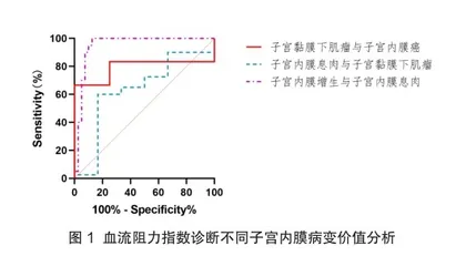 不同民族产妇及其配偶的分娩体验和陪伴分娩体验状况调查研究