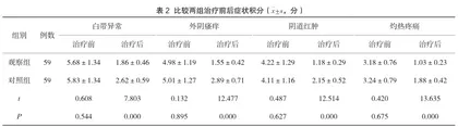 硝呋太尔制霉素阴道软胶囊治疗阴道炎的效果研究2