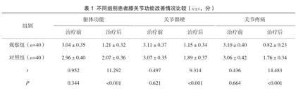 社区老年中晚期膝骨关节病的简易家庭治疗方案及效果1