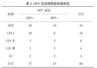宫颈病变与TCT、高危型HPV感染的相关性研究2