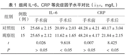 内镜逆行阑尾炎治疗术
