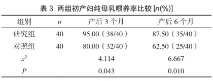 配偶体验式母乳喂养模拟教学对初产妇纯母乳喂养的促进作用研究3