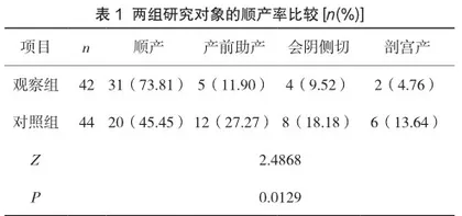 PDCA循环管理在产房护理中的价值观察