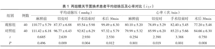超声引导下神经阻滞麻醉在髋关节置换手术中的效果分析