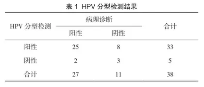 HPV分型检测应用于宫颈癌或癌前病变筛查的效果