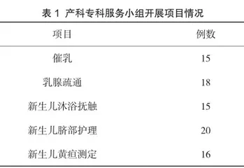 “互联网+护理服务”在母婴居家延续护理中的构建及应用