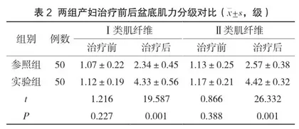 生物反馈电刺激结合盆底训练在产后盆底康复中的临床意义2