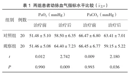 布地格福吸入气雾剂对慢阻肺的治疗效果研究