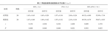 布地格福吸入气雾剂对慢阻肺的治疗效果研究3