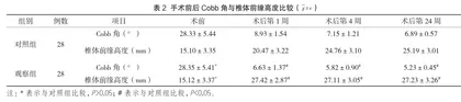 经皮椎体后凸成形术对骨质疏松性椎体压缩性骨折的疗效观察2