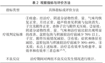 头孢羟氨苄胶囊联合抗妇炎胶囊治疗慢性盆腔炎的临床效果观察1