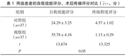 延续护理对宫颈癌根治术后患者自我效能及生活质量的影响
